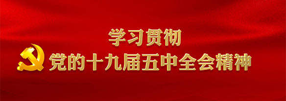 學(xué)習(xí)貫徹黨的十九屆五中全會(huì)精神