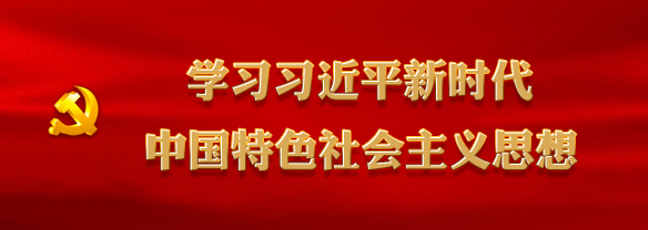 學(xué)習(xí)習(xí)近平新時(shí)代中國(guó)特色社會(huì)主義思想
