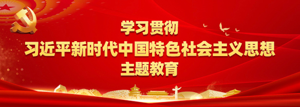 學(xué)習(xí)貫徹習(xí)近平新時(shí)代中國(guó)特色社會(huì)主義思想主題教育